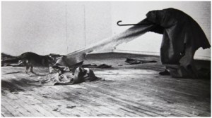 « I like America and America likes me » Mai 1974, Galerie René Block, Joseph Beuys