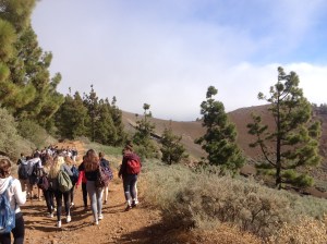 randonnee-a-la-cumbre-de-la-nieve